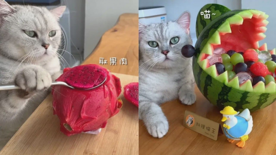 دسرهای خوشمزه و خنک رژیمی با خ...