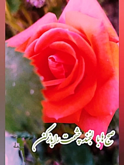 صبح بخیر انرژی مثبت ،کلیپ زیر...