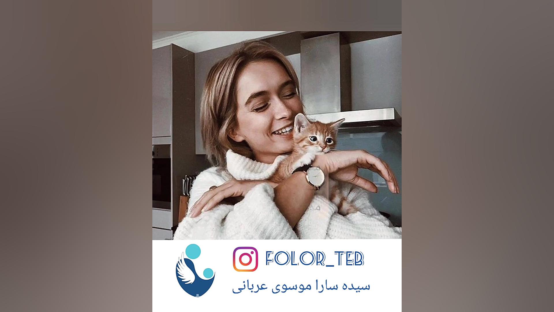 ایا موی گربه باعث نازایی می شود ؟ سیده سارا موسوی عربانی