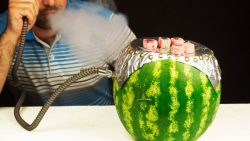 ترفند عالی هندوانه