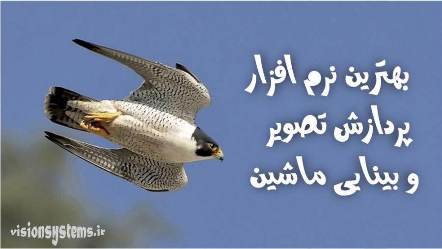 بهترین نرم افزار پردازش تصویر و بینایی ماشین لیلا حاتمی