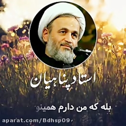 کلیپ تاثیر گذار استاد پناهیان
