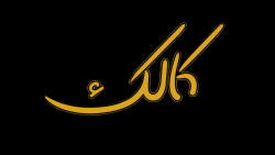 جمهوریت و ساختار انتخاباتی ریا...