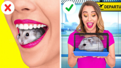 چگونه می توان حیوانات خانگی را...