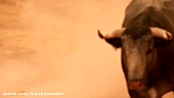 دوبله طنز بندری