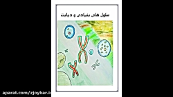 سلول های بنیادین و دیابت