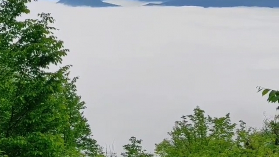 پوستر بزرگ
