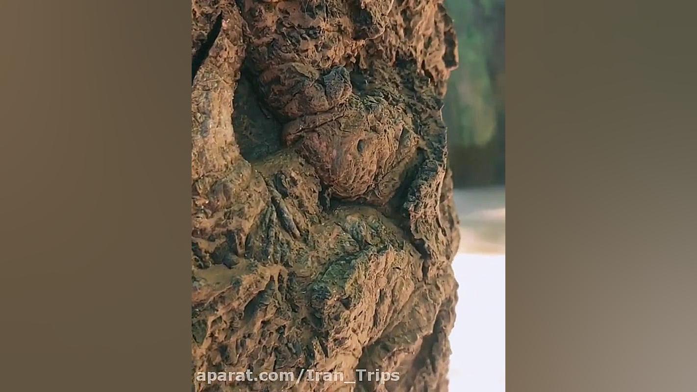 پوستر بزرگ
