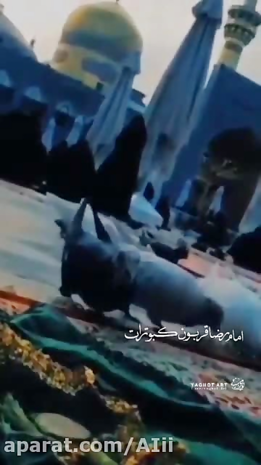 دلتنگ حرم استوری امام رضا