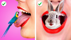 12 راه برای ورود نرم حیوانات ب...