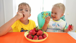 نیکی می خواهد برای کریس بهترین...