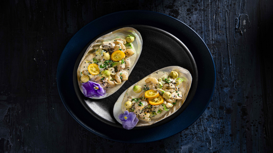 آشپزی با هپی- سالاد میگو با آواکادو