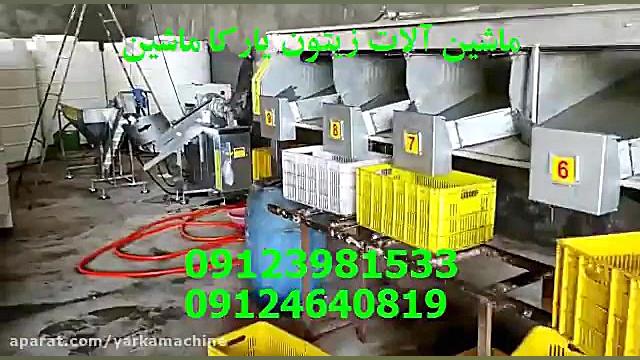 دستگاه فرآوری زیتون-09123981533 باند ضد باکتری نانو