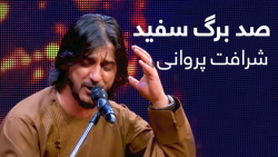 آهنگ افغانی شرافت پروانی  صد ب...
