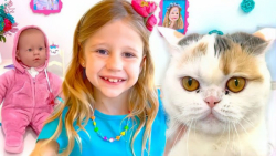 ناستیا استیسی جدید | ماجرای نا...