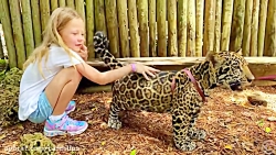 ناستیا و استیسی / ناستیا / ناس...