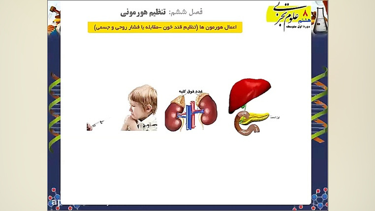 تنظیم قند خون - دیابت جوانی - علوم هشتم اینسایزینگ