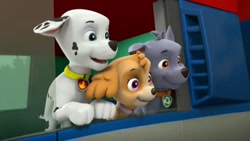 دانلود کارتون سگهای نگهبان / س...