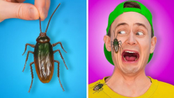 ایده های تفریحی و خنده دار شوخ...