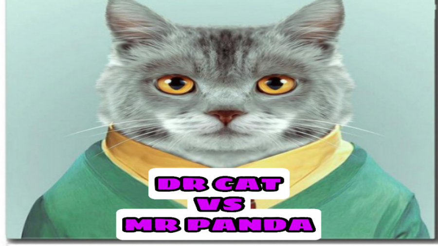 دراما(دعوا) | fight DR_CAT VS MR_PANDA