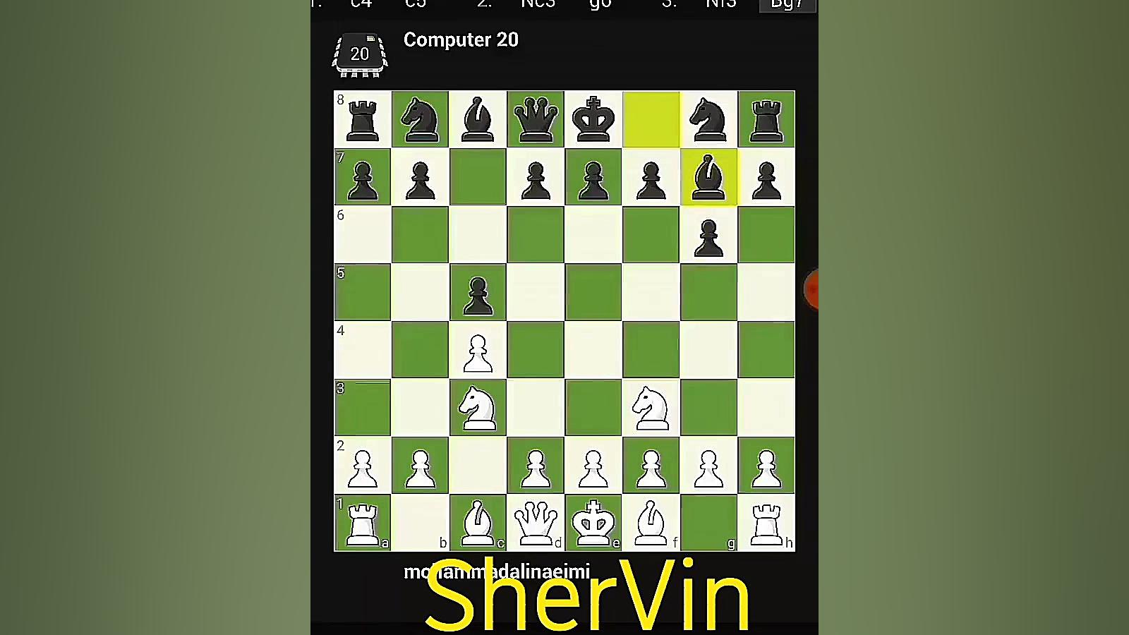 shervinmonkey