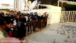 باب القبلة حضرت اباالفضل العبا...