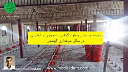 نحوه جانمایی و قرار دادن دانخوری و آبخوری در سالن های مرغداری