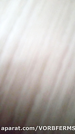 اگه موافقین از وسایل دختر کفش...