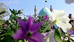 کلیپ عاشقانه امام زمان عج (ارت...