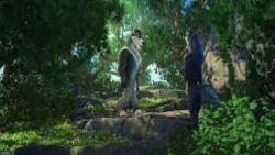 گوسفند ها و گرگ ها 2019