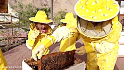 دیانا روما دیانا شو دیانا و رو...