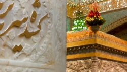 استوری ولادت امام رضا (ع)  - ۲