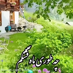 آهنگ جدید /ناصر زینعلی