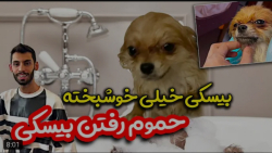 ولاگ | پویان ان آر | بیسکی رو...