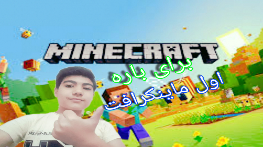 اولین باری که ماینکرافت بازی کردم. . the first time i played minecraft