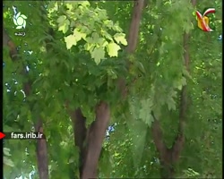 ترانه زیبای " ایران من " با صد...