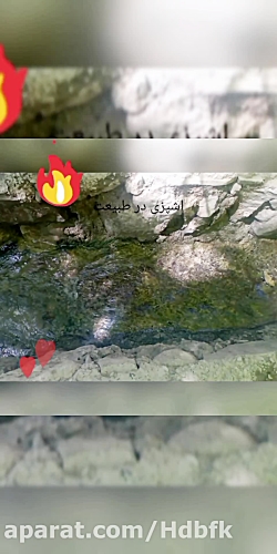 آشپزی در طبیعت