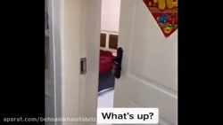 کلیپ خنده دار حیوانات خانگی ٫...