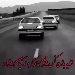 شوتی با اهنگ کردی