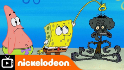 کارتون باب اسفنجی:: اختاپوس بر...