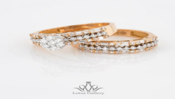 حلقه پشت حلقه باگت