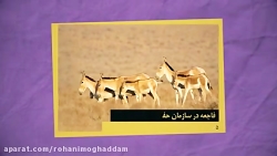 روحانیسم| کلانتری