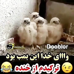 وای خدا ترکیدم از خنده