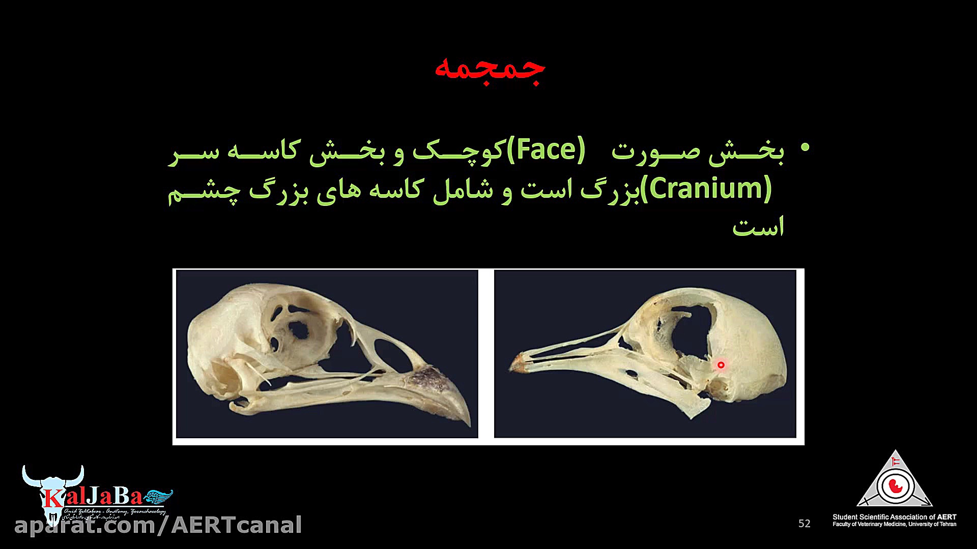 کلاس مجازی آناتومی سیستماتیک2 دامپزشکی، پرندگان، بخش سوم کشیدن دندان