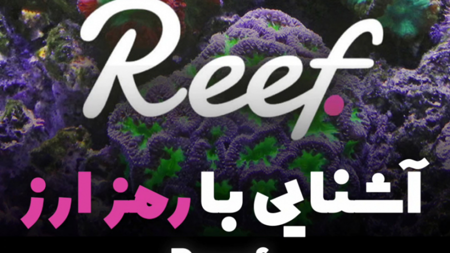 آشنایی , رمزارز , Reef , حوزه , کراس , چین , آموزش , کامل , زمینه , ارز , دیجیتال , تحلیل , تکنیکال , آدرس , اینستاگرام , https: , instagram , com , arekcrypto?igshid=16pe3ui4q318p
ممنونم , لایک , کامنت , اشتراک , کمک , میکنید , محتوای , بهتری , تولید , ️
آینده , یعنی , کیریپتو , معامله , گری , وب , سایت , www , arekcrypto
