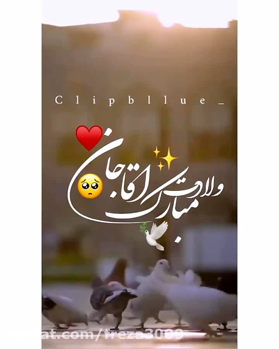 کلیپ امام رضا( ع )