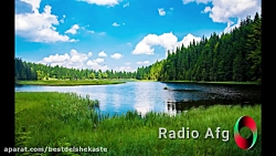 shad afghani v2 افغانی آهنگ ها...