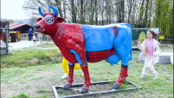 برنامه کودک و سرگرمی جدید - کت...