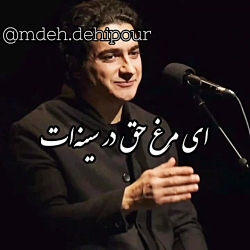 آهنگ زیبای همایون شجریان