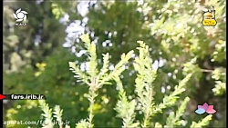 ترانه زیبای " همه جهان ایران "...